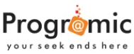 Programic IT Solutions — your seek ends here